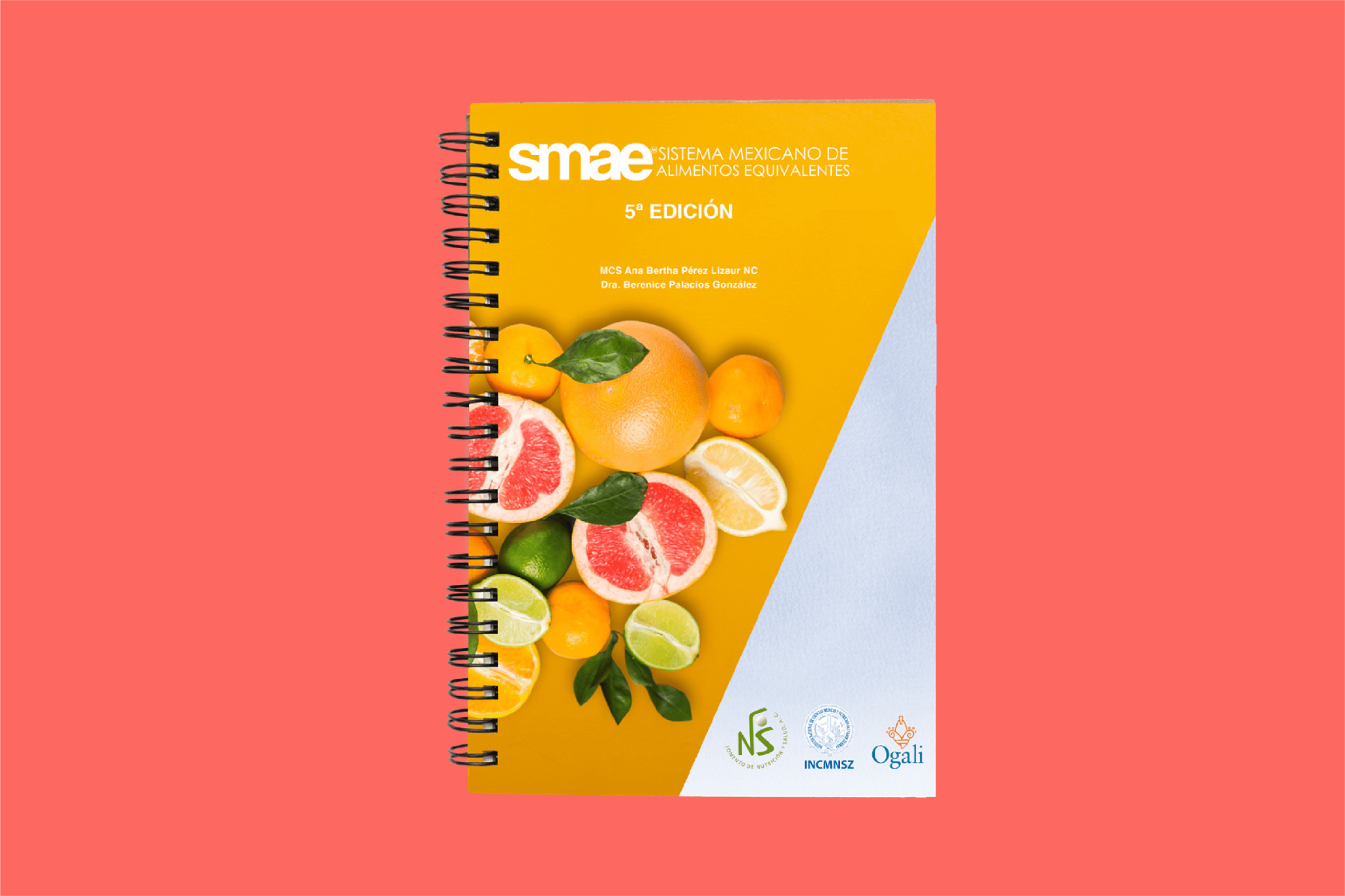 Sistema Mexicano De Alimentos Equivalentes – SMAE – Fomento De ...